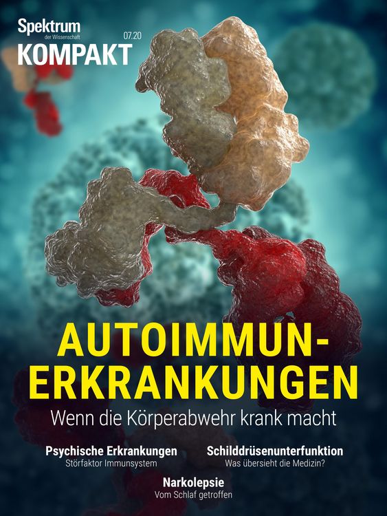 Produktbild: Spektrum Kompakt - Autoimmunerkrankungen