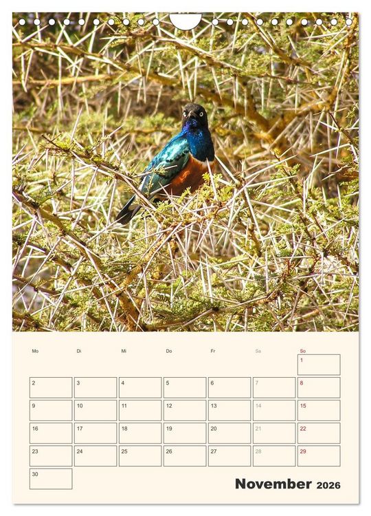 Produktbild: Kenia - Terminplaner (Wandkalender 2026 DIN A4 hoch), CALVENDO Monatskalender