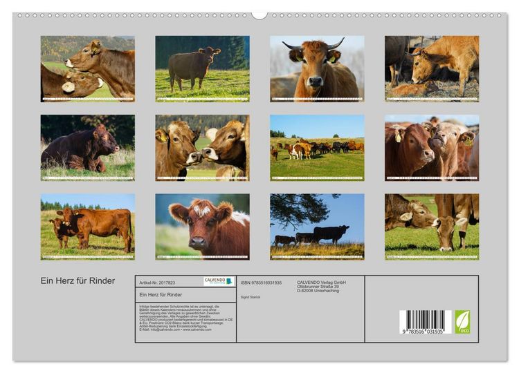 Produktbild: Ein Herz f&uuml;r Rinder (hochwertiger Premium Wandkalender 2026 DIN A2 quer), Kunstdruck in Hochglanz