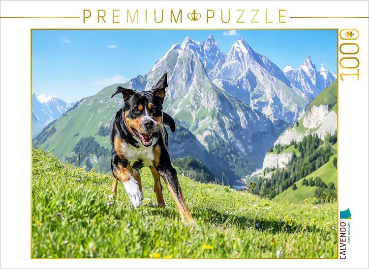 Produktbild: CALVENDO Puzzle Schweizer Berge | 1000 Teile Lege-Gr&ouml;&szlig;e 64x48cm Foto-Puzzle f&uuml;r gl&uuml;ckliche Stunden