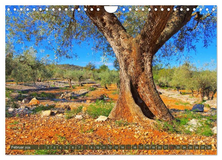 Produktbild: Costa del Azahar - K&uuml;ste der Orangenbl&uuml;te (Wandkalender 2026 DIN A4 quer), CALVENDO Monatskalender