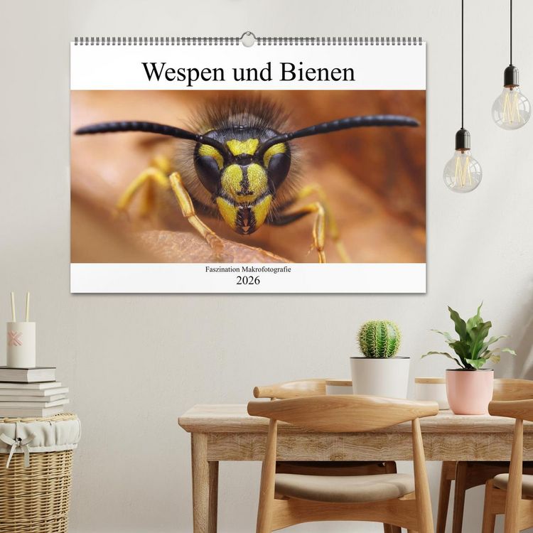 Produktbild: Faszination Makrofotografie: Wespen und Bienen (Wandkalender 2026 DIN A2 quer), CALVENDO Monatskalender