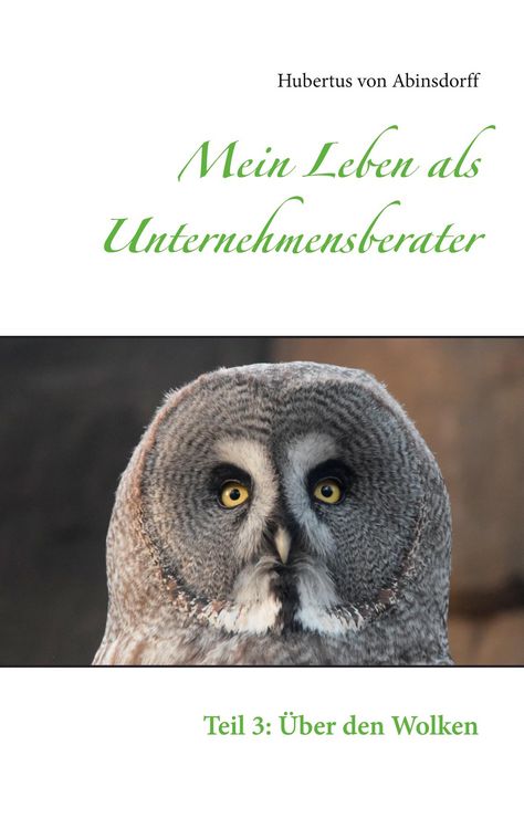 Produktbild: Mein Leben als Unternehmensberater