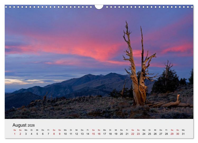Produktbild: Kalifornien - K&uuml;sten und W&uuml;sten, St&auml;dte und Berge (Wandkalender 2026 DIN A3 quer), CALVENDO Monatskalender