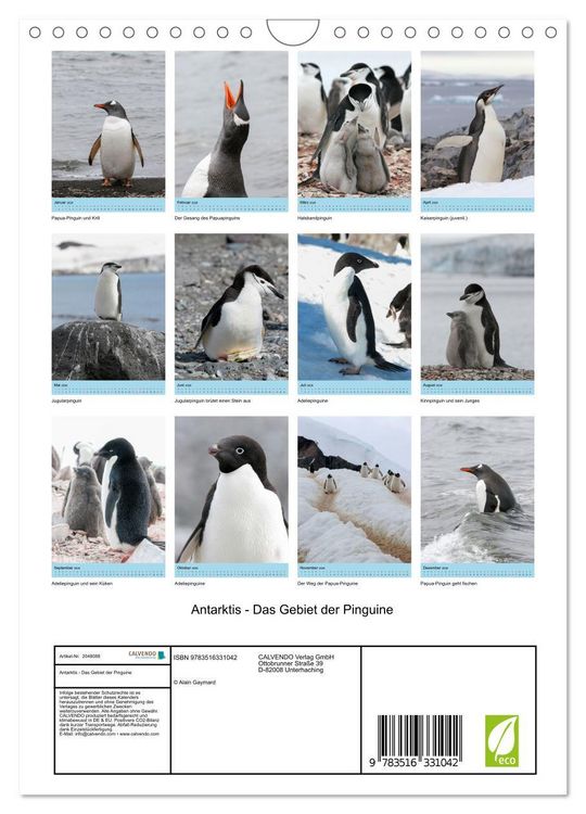 Produktbild: Antarktis - Das Gebiet der Pinguine (Wandkalender 2026 DIN A4 hoch), CALVENDO Monatskalender
