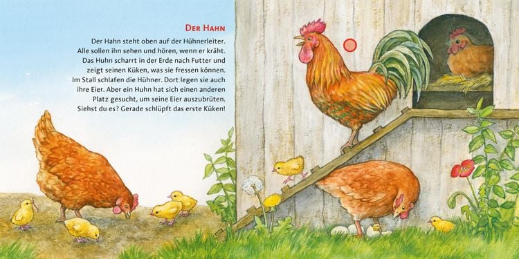 Produktbild: Hör mal (Soundbuch): Der Bauernhof