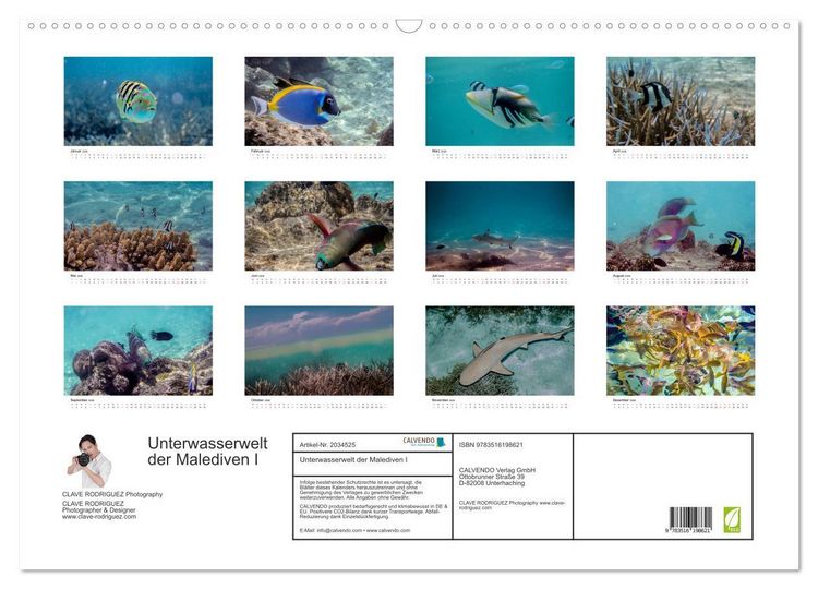 Produktbild: Unterwasserwelt der Malediven I (Wandkalender 2026 DIN A2 quer), CALVENDO Monatskalender