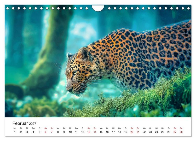 Produktbild: Gefleckte Schatten - Im Bann der Leoparden (Wandkalender 2027 DIN A4 quer), CALVENDO Monatskalender