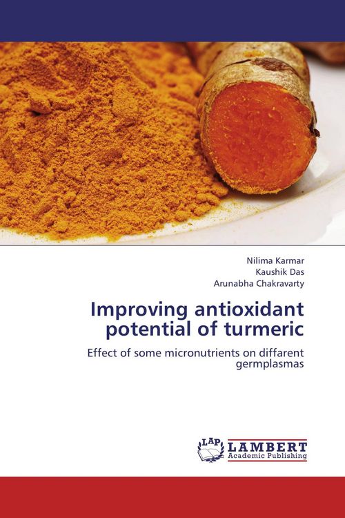 Produktbild: Improving antioxidant potential of turmeric