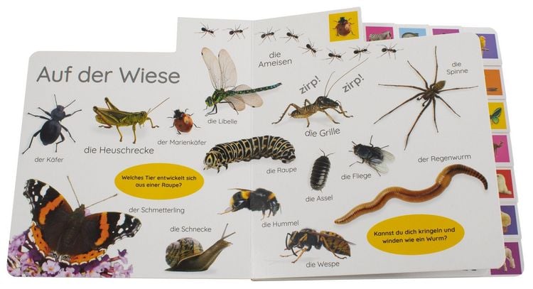 Produktbild: Erstes Lernen. Tiere