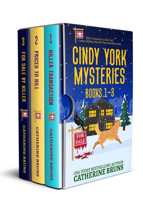 Produktbild: Cindy York Mysteries Boxed Set Books 1-3