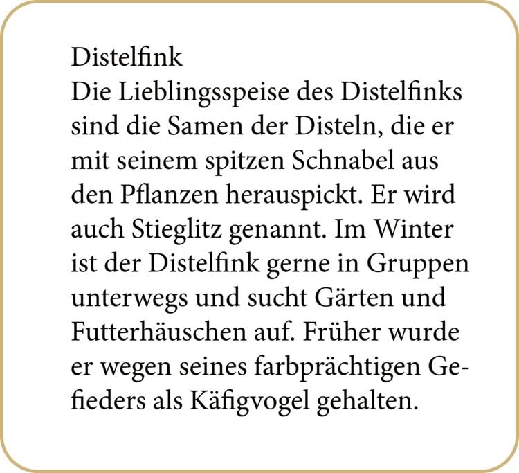 Produktbild: Sound-Adventskalender &ndash; Unsere V&ouml;gel im Winter