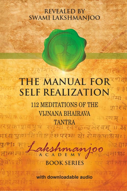 Produktbild: The Manual for Self Realization