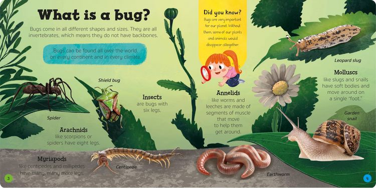 Produktbild: Priddy Explorers Bugs & Slugs