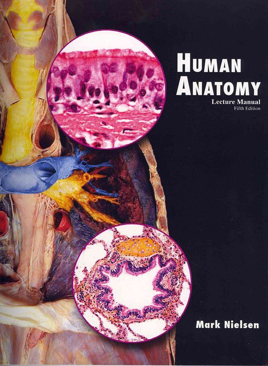 Produktbild: Human Anatomy