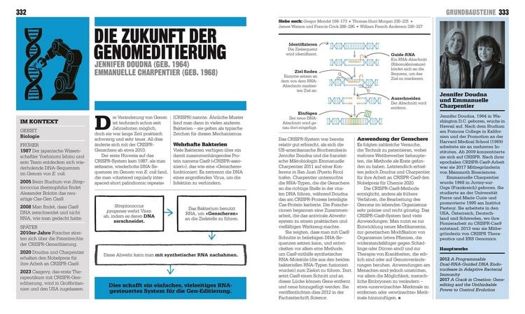 Produktbild: Big Ideas. Das Wissenschafts-Buch
