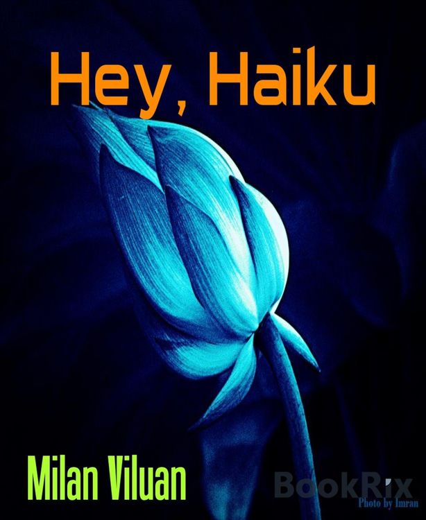 Produktbild: Hey, Haiku