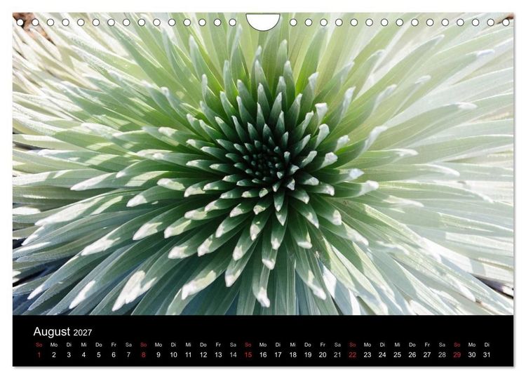 Produktbild: Hawaii - Oahu - Maui (Wandkalender 2027 DIN A4 quer), CALVENDO Monatskalender