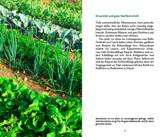 Produktbild: G&auml;rtnern im Wandel