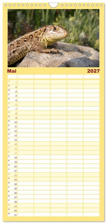 Produktbild: Familienplaner 2027 - Minisaurier im Garten mit 5 Spalten (Wandkalender, 21 x 45 cm) CALVENDO