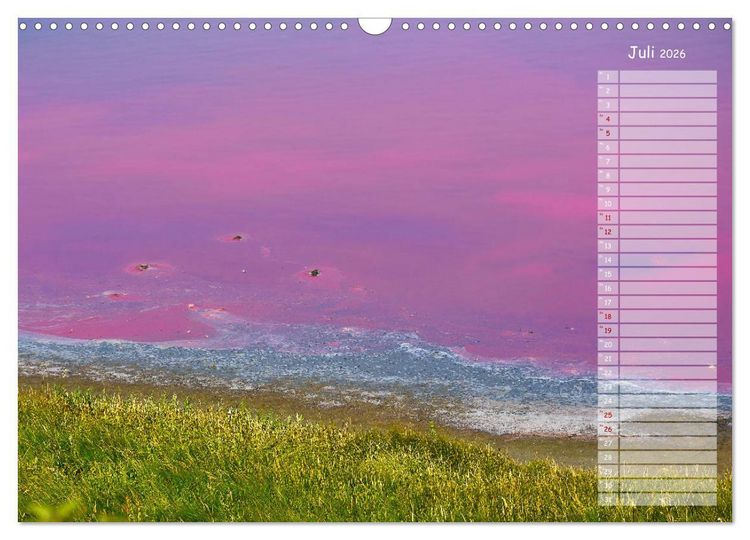 Produktbild: Ein Sommer auf Texel (Wandkalender 2026 DIN A3 quer), CALVENDO Monatskalender