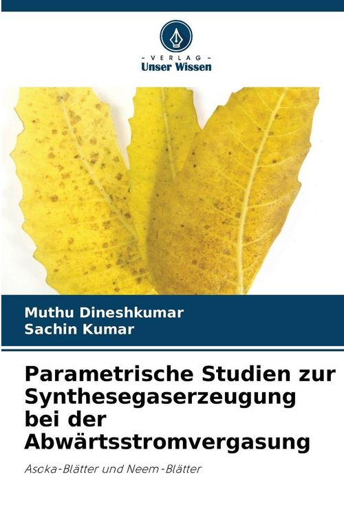 Produktbild: Parametrische Studien zur Synthesegaserzeugung bei der Abw&auml;rtsstromvergasung