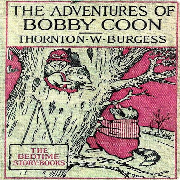 Produktbild: The Adventures of Bobby Coon