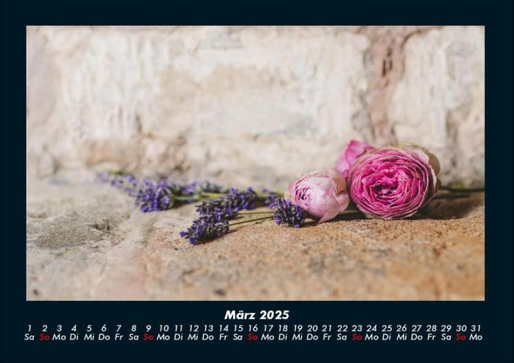 Produktbild: Blumentr&auml;ume 2025 Fotokalender DIN A4