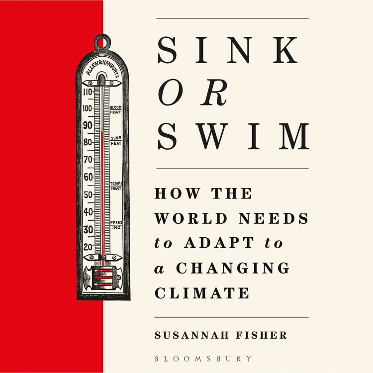 Produktbild: Sink or Swim