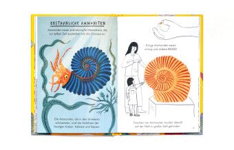 Produktbild: Hallo Fossilien & Muscheln