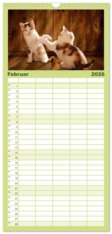 Produktbild: Familienplaner 2026 - K&auml;tzchen 2026 mit 5 Spalten (Wandkalender, 21 x 45 cm) CALVENDO