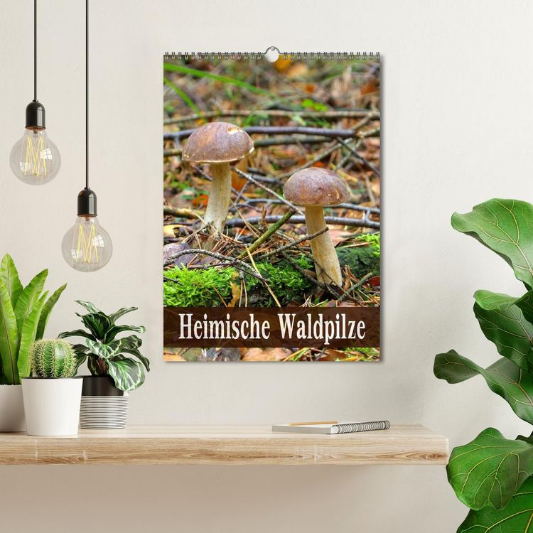 Produktbild: Heimische Waldpilze (Wandkalender 2026 DIN A3 hoch), CALVENDO Monatskalender