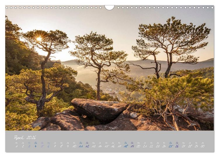 Produktbild: Ausfl&uuml;ge in der Heimat - Die Pfalz (Wandkalender 2026 DIN A3 quer), CALVENDO Monatskalender