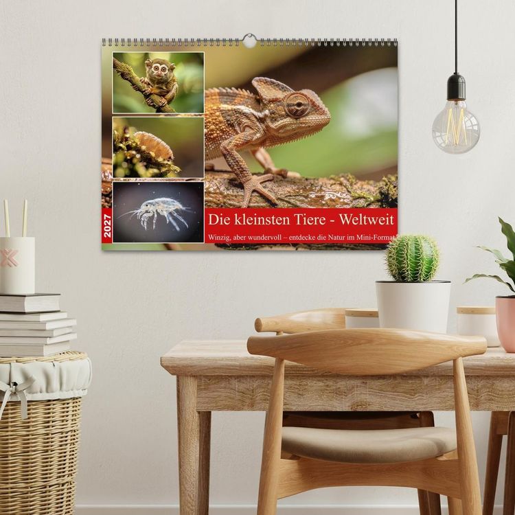 Produktbild: Die kleinsten Tiere - Weltweit (Wandkalender 2027 DIN A3 quer), CALVENDO Monatskalender