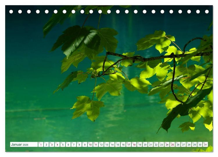 Produktbild: GR&Uuml;N . Die Kraft der Natur (Tischkalender 2026 DIN A5 quer), CALVENDO Monatskalender