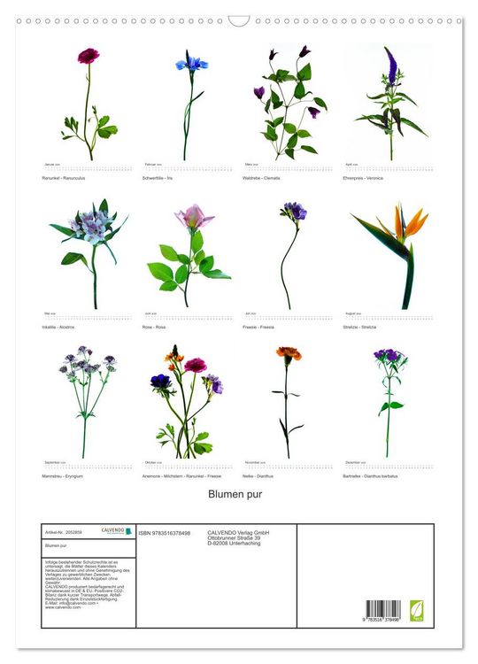 Produktbild: Blumen pur (Wandkalender 2026 DIN A2 hoch), CALVENDO Monatskalender