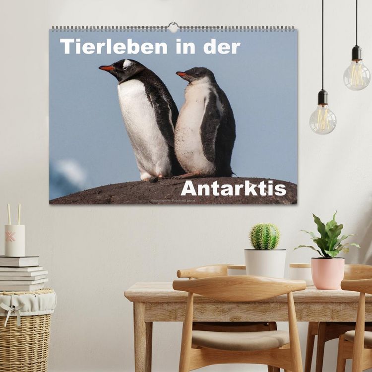 Produktbild: Tierleben in der Antarktis (Wandkalender 2026 DIN A2 quer), CALVENDO Monatskalender