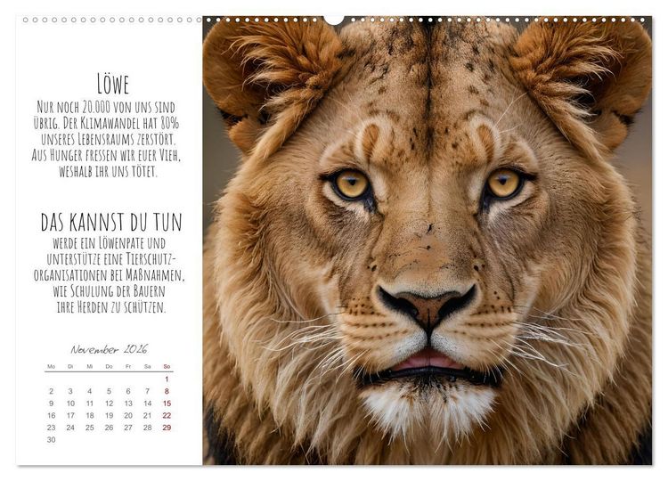 Produktbild: Wir sind die Letzten hier! Wir sterben aus. Wie du uns helfen kannst! (Wandkalender 2026 DIN A2 quer), CALVENDO Monatskalender