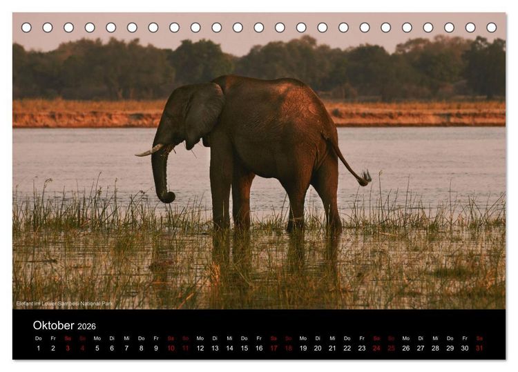 Produktbild: SAMBIA IM HERZEN AFRIKAS (Tischkalender 2026 DIN A5 quer), CALVENDO Monatskalender