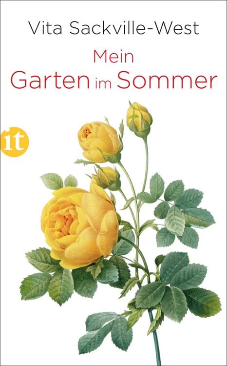 Produktbild: Mein Garten im Sommer