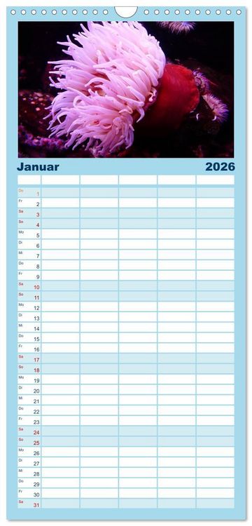 Produktbild: Familienplaner 2026 - Faszination Tauchen - Neptuns Reich mit 5 Spalten (Wandkalender, 21 x 45 cm) CALVENDO