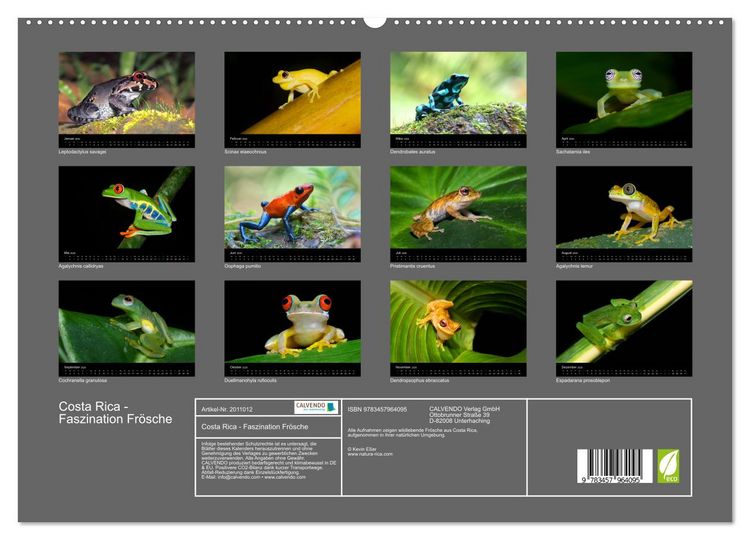 Produktbild: Costa Rica - Faszination Fr&ouml;sche (hochwertiger Premium Wandkalender 2026 DIN A2 quer), Kunstdruck in Hochglanz