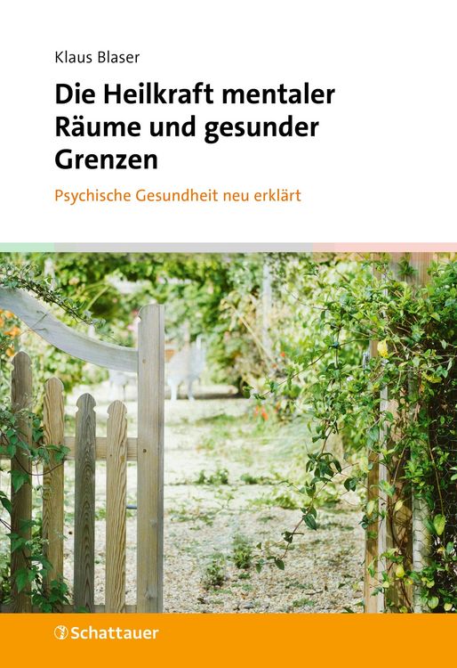 Produktbild: Die Heilkraft mentaler R&auml;ume und gesunder Grenzen