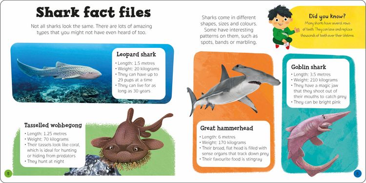 Produktbild: Priddy Explorers Sharks