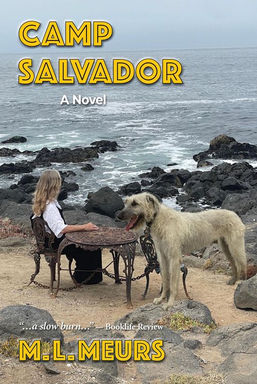 Produktbild: Camp Salvador: A Novel