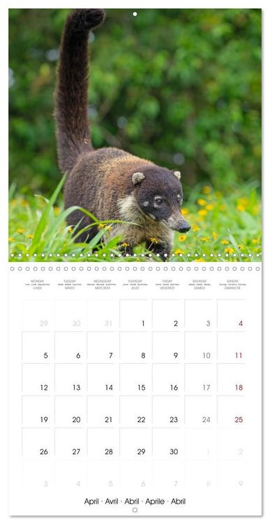 Produktbild: Costa Rica wild and peaceful (Wall Calendar 2027 12 &times; 12 Inch) CALVENDO 12 Month Wall Calendar