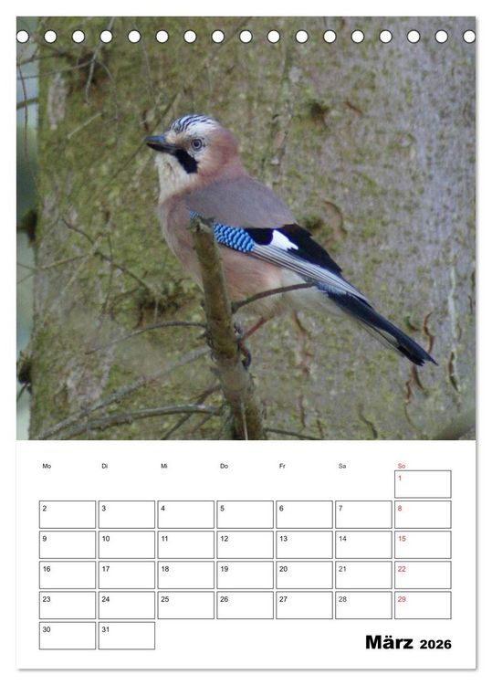 Produktbild: Rabenv&ouml;gel Terminplaner (Tischkalender 2026 DIN A5 hoch), CALVENDO Monatskalender