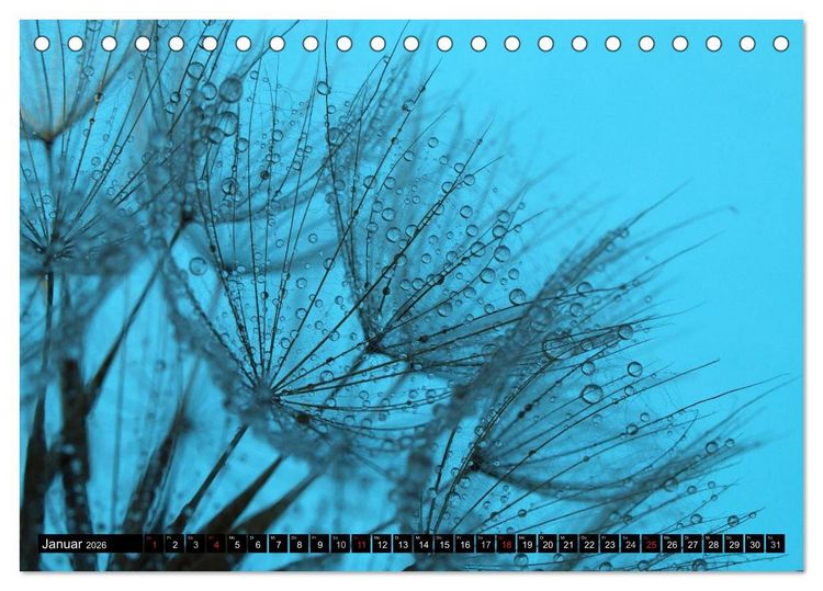 Produktbild: Wassertropfen - Diamanten des Lebens (Tischkalender 2026 DIN A5 quer), CALVENDO Monatskalender