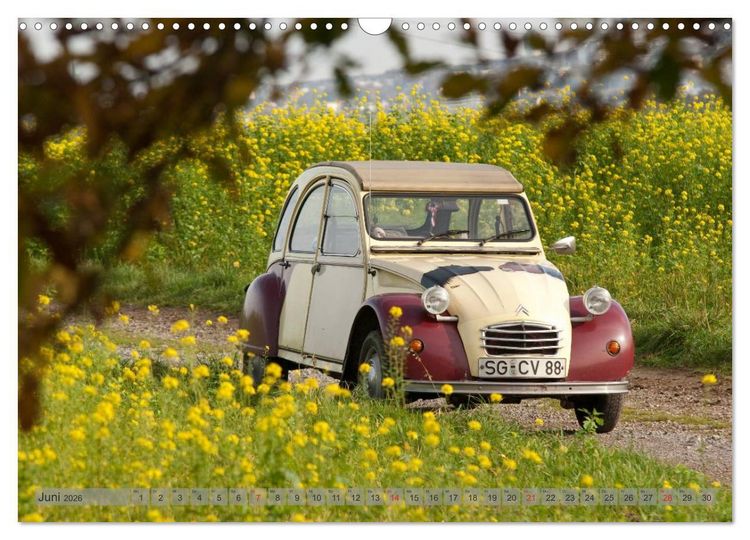 Produktbild: Kultauto Ente Citro&euml;n 2CV (Wandkalender 2026 DIN A3 quer), CALVENDO Monatskalender