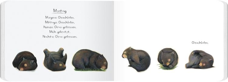 Produktbild: Tagebuch eines Wombat